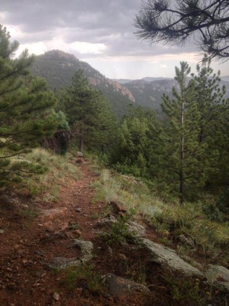 A winding dirt path leads through a lush forest of green pine trees, with rocky terrain visible on the sides. In the background, a mountainous landscape rises under an overcast sky, hinting at an approaching storm. Coulson Gulch mountain bike trail.