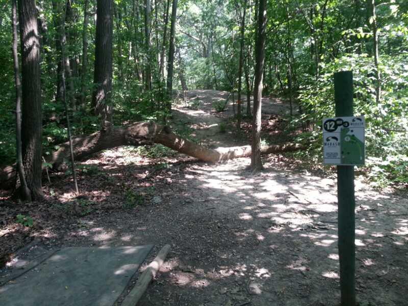 A trail in a wooded area featuring a fallen tree across the path. On the right, a signpost indicates a nearby point of interest with the number 12, along with symbols and information about the trail. Sunlight filters through the leaves, casting dappled shadows on the ground. Murdock Park Trail mountain bike trail.