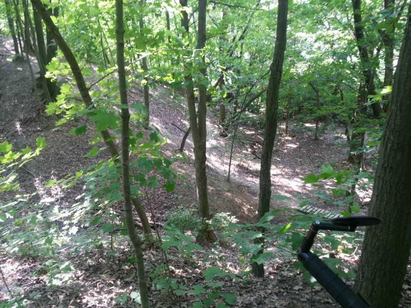 A tranquil forest scene featuring a variety of green trees and a leaf-covered ground. The landscape includes a gentle slope leading to a narrow trail, surrounded by lush foliage, creating a serene and natural atmosphere. A tripod is partially visible in the foreground. Murdock Park Trail mountain bike trail.