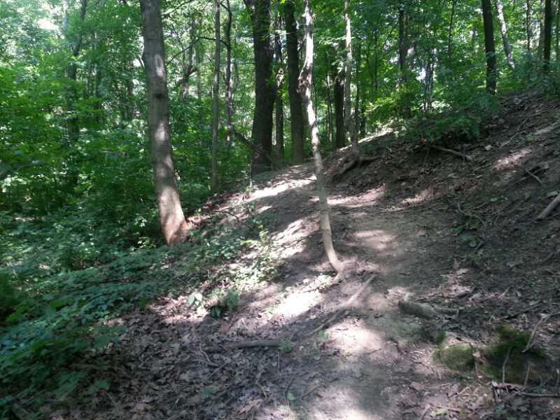 A narrow winding trail cuts through a dense forest, featuring tall trees with green leaves and sunlight filtering through the canopy. The path is slightly sloped and surrounded by lush underbrush and fallen leaves. Murdock Park Trail mountain bike trail.