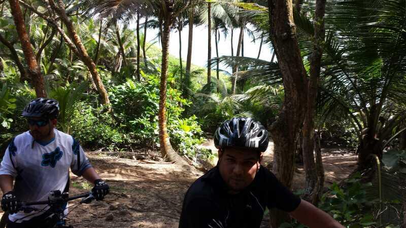 Two mountain bikers in helmets are riding on a trail surrounded by dense green foliage and palm trees. The scene features tropical vegetation, with the sun filtering through the leaves, creating a dappled light effect on the path. Cerro Gordo Trail mountain bike trail.