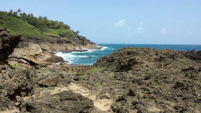 A scenic view of rugged coastline featuring rocky cliffs and patches of green vegetation. The blue ocean waves crash against the shore, with a clear sky above and palm trees in the background. Cerro Gordo Trail mountain bike trail.