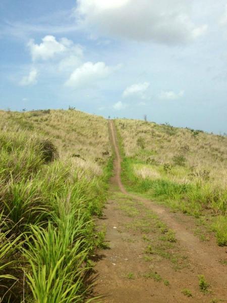 A dirt path winds through tall grass, leading up a hill under a partly cloudy sky. The landscape is lush and green, giving a sense of tranquility and natural beauty. Los Pinchos mountain bike trail.