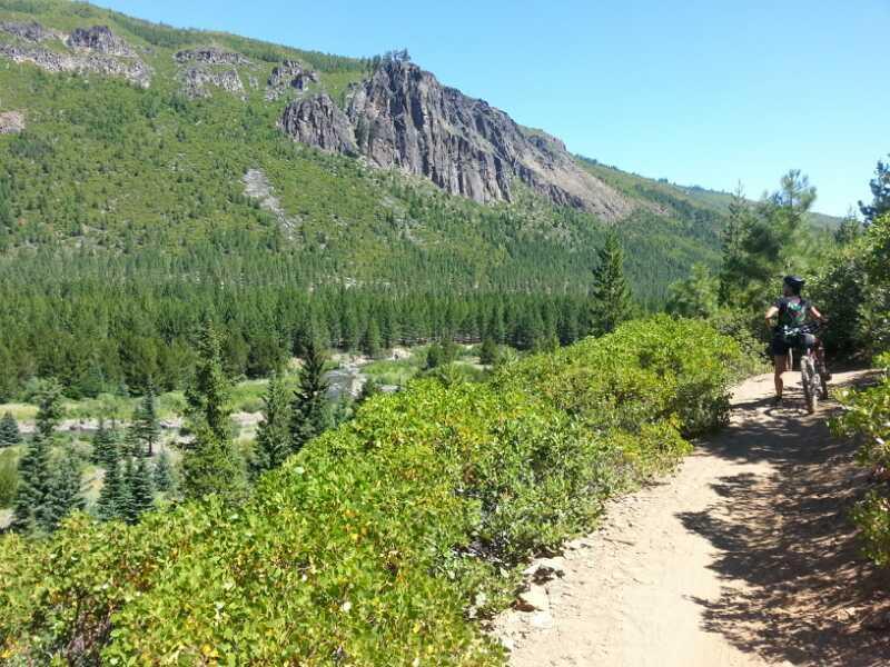 A cyclist riding along a sandy path surrounded by lush green trees, with a mountainous landscape in the background under a clear blue sky. Skyliners mountain bike trail.