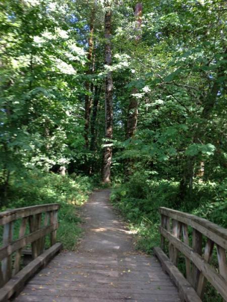 A wooden bridge crossing a path surrounded by lush green trees and foliage, leading into a serene forest. Elijiah Bristow State Park mountain bike trail.