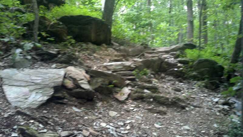 A rocky hiking trail winding through a dense green forest, with large stones and scattered gravel along the path surrounded by trees and foliage. Lake Fairfax mountain bike trail.