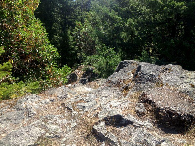 Rocky terrain overlooking a lush green forest, with various trees and underbrush in the background. Sunlight appears to be shining on the rocks and vegetation, indicating a clear, bright day. Larison Rock mountain bike trail.