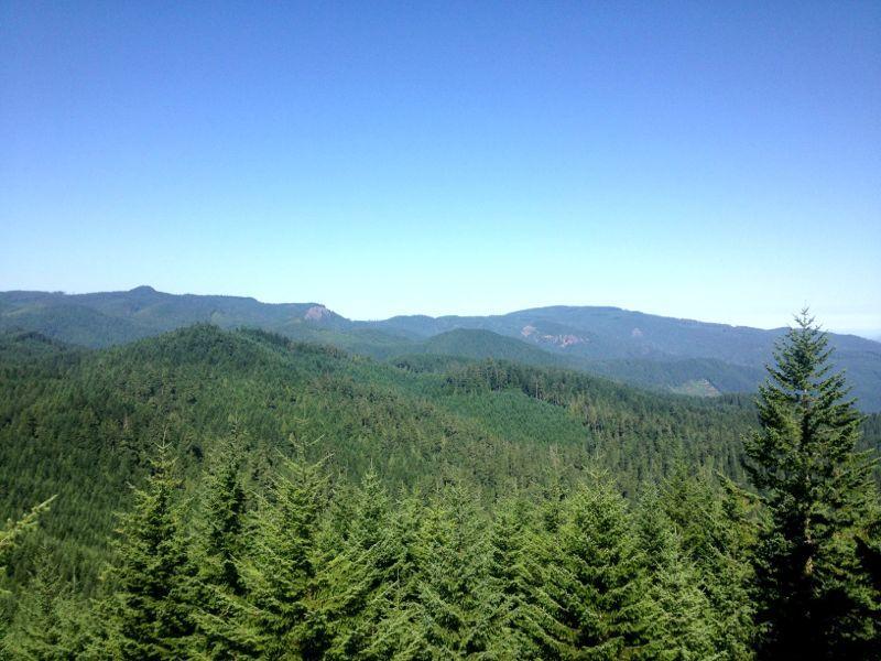 Alt text: A scenic view of lush green mountains under a clear blue sky, with layers of hills and forests stretching into the distance. Larison Rock mountain bike trail.