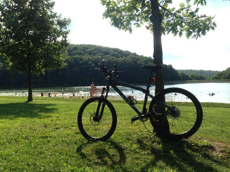 A mountain bike leaning against a tree in a grassy area by a serene lake. In the background, people swim and enjoy the water, surrounded by lush green hills under a sunny sky. Greenbrier State Park mountain bike trail.