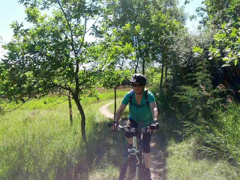 A person wearing a helmet and sunglasses rides a mountain bike along a winding dirt path surrounded by lush green vegetation and trees on a sunny day. Tranquility mountain bike trail.