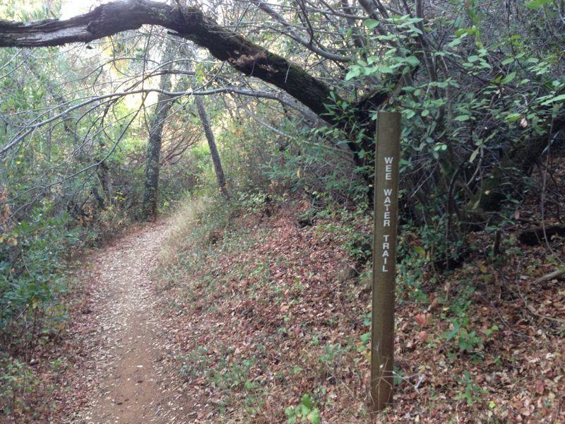 A narrow dirt path winding through a wooded area, with a sign marking the "WEE WATER TRAIL" nearby. The trail is surrounded by trees and fallen leaves, creating a natural and serene environment. Sweetwater Trail mountain bike trail.