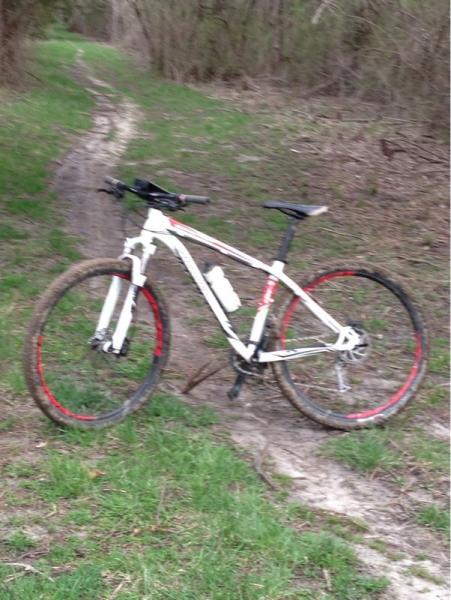 A white mountain bike with red accents parked on a muddy trail surrounded by greenery and trees. The bike has a water bottle attached and is positioned on a dirt path that winds through a forested area. Landahl Park Reserve mountain bike trail.