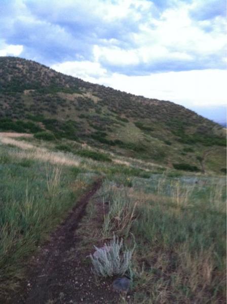 A scenic view of a grassy hillside with a winding dirt trail leading up the slope. The landscape includes patches of greenery and a few shrubs, under a cloudy sky. Green Mountain mountain bike trail.