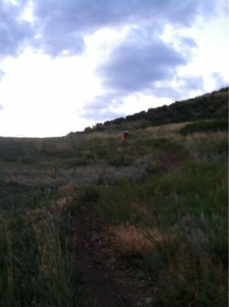 A hiker walking up a grassy hillside under a cloudy sky, with a winding dirt path visible in the foreground. The landscape features a mix of green and yellow grasses. Green Mountain mountain bike trail.
