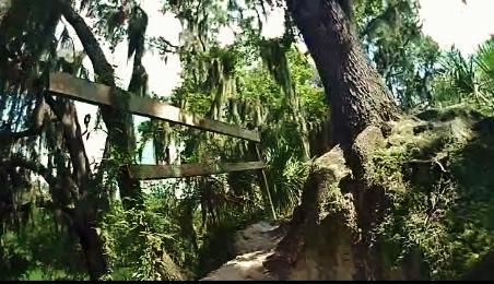 A wooded trail winding through lush greenery, featuring a large tree with visible roots and wooden railings, adorned with Spanish moss hanging from branches. Loyce E. Harpe Park mountain bike trail.