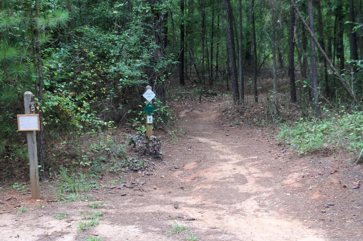 A dirt trail diverges in a wooded area, marked by a sign indicating "Connector Trail" and a directional symbol. A wooden post on the left displays a map or informational plaque. Surrounding greenery includes various trees and plants, creating a serene natural setting. Harbison State Forest mountain bike trail.