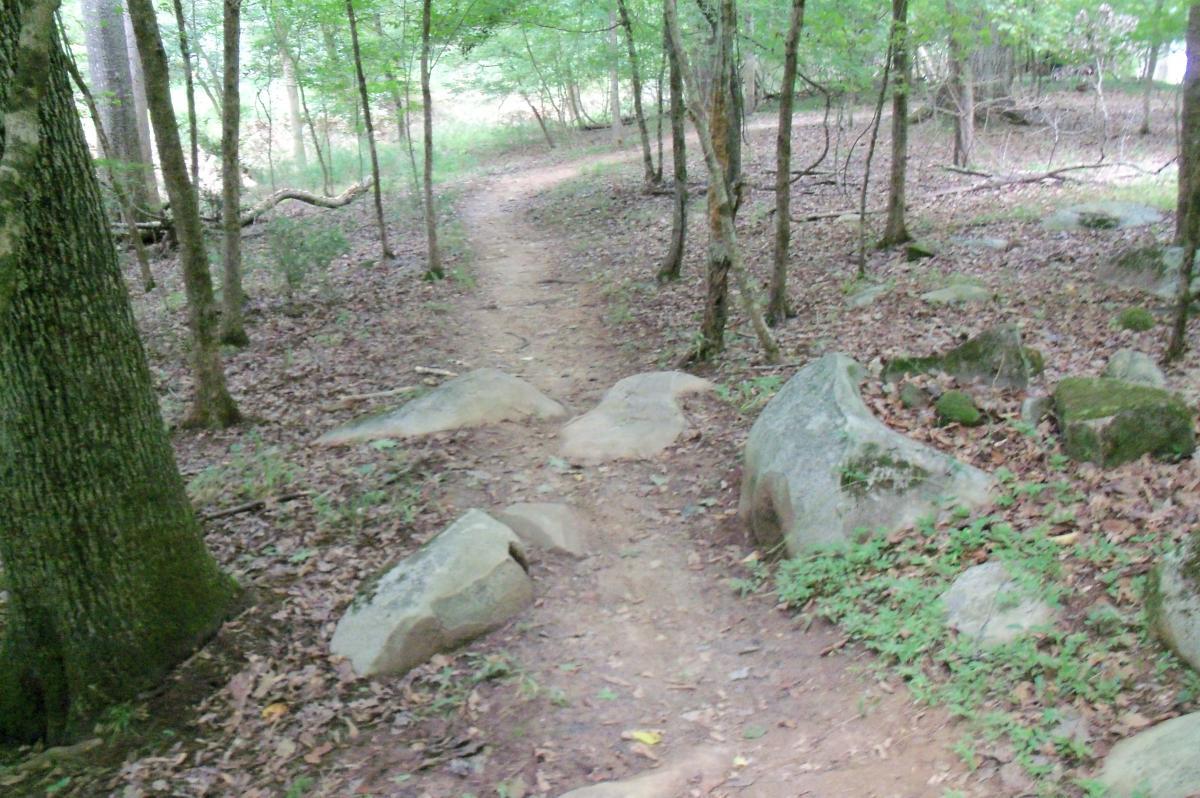 A dirt path winding through a wooded area, surrounded by trees and scattered rocks. The ground is covered with leaves and patches of grass. Harbison State Forest mountain bike trail.