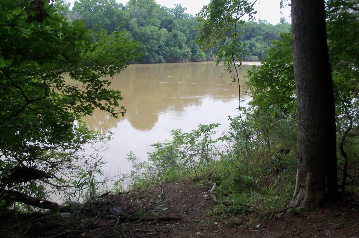 A serene river scene surrounded by lush greenery, with muddy water reflecting the overhanging trees. The foreground features a natural bank with various plants, while the river flows gently in the background, suggesting a peaceful, natural setting. Harbison State Forest mountain bike trail.