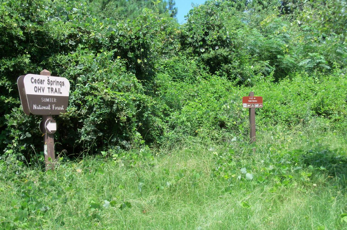 Signage marking the Cedar Springs OHV Trail in the Sumter National Forest, surrounded by lush greenery and tall grass. Two wooden signs are visible: the left sign indicates the Cedar Springs OHV Trail, while the right sign provides trail regulation information. Long Cane Horse Trail mountain bike trail.