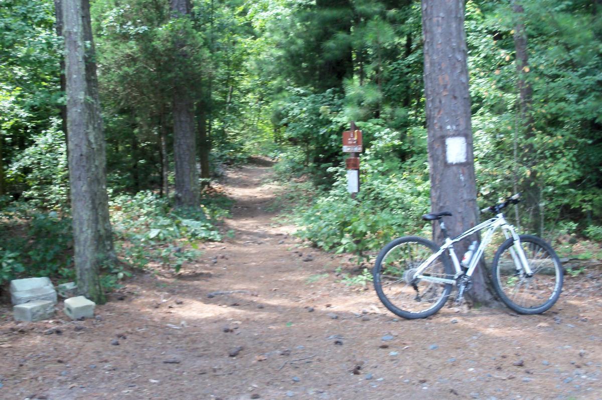 A mountain bike is leaning against a tall tree at the edge of a dirt trail surrounded by lush greenery. A trail marker is visible nearby, indicating the direction of the path through the forest. Pine needles and small stones cover the ground, creating a natural pathway. Long Cane Horse Trail mountain bike trail.