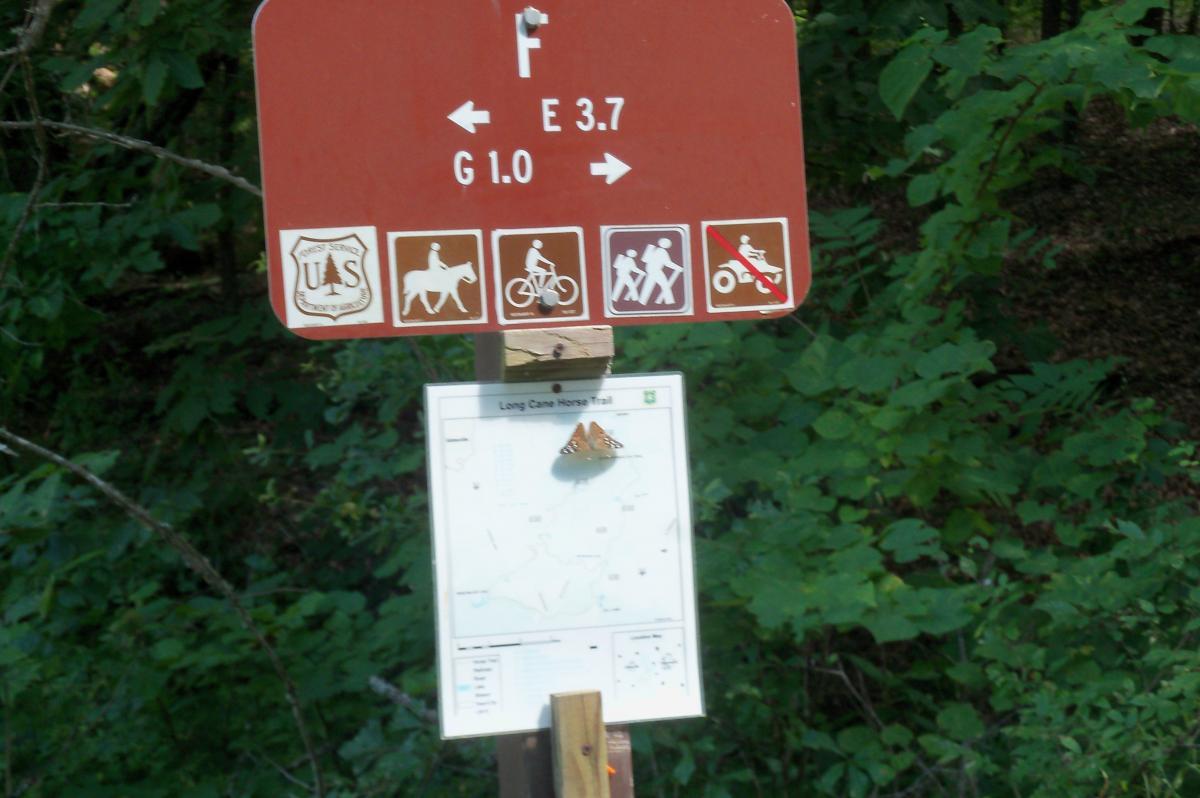 A trail sign indicating directions and distances to various destinations, with symbols for different trail activities, and a map for the Long Cane Horse Trail. A butterfly is resting on the map. The background features lush green foliage. Long Cane Horse Trail mountain bike trail.