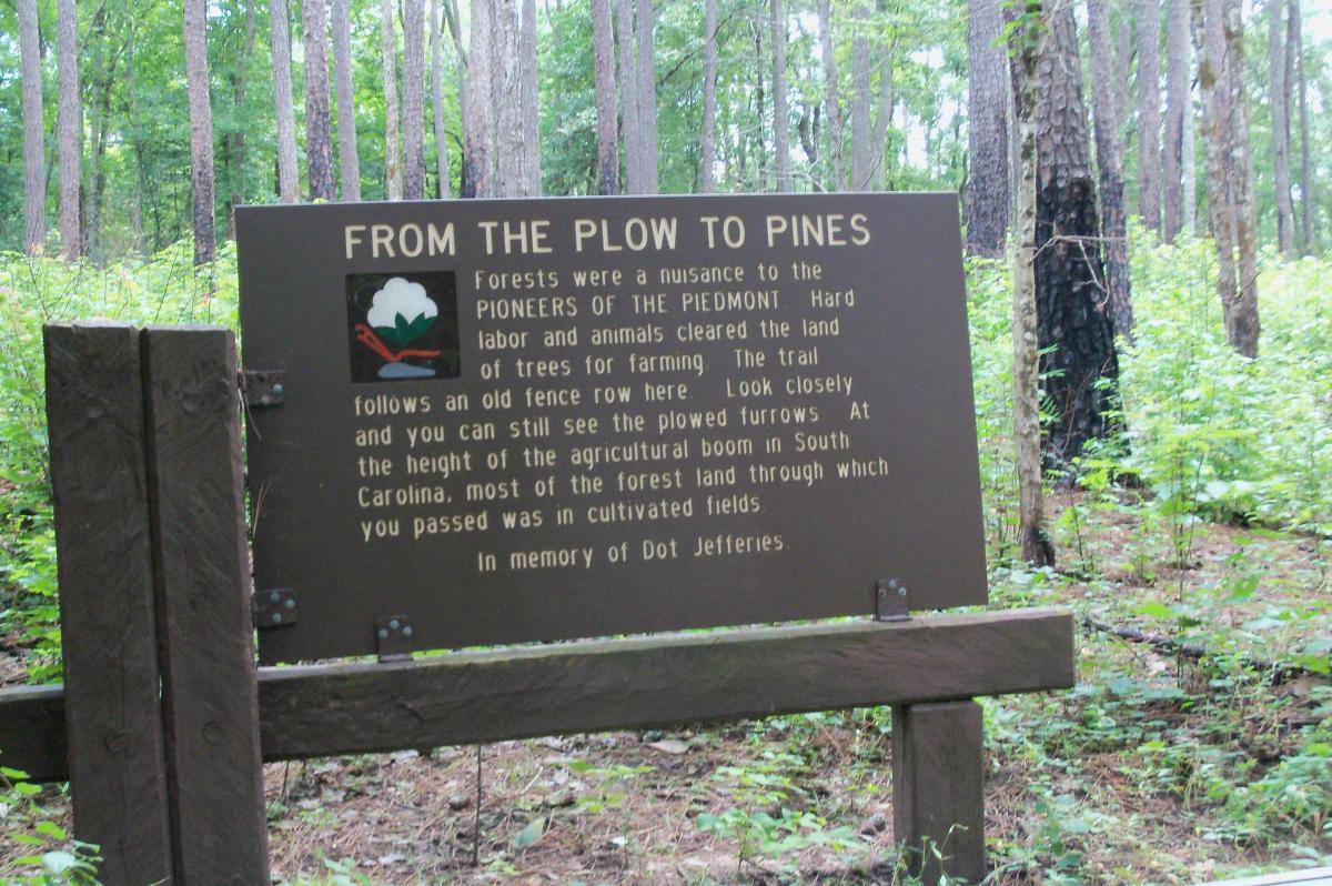 A sign titled "From the Plow to Pines" in a forested area, detailing the history of the land's transformation from agricultural fields to forest. The sign mentions the labor of the pioneers of the Piedmont and references an old fence row and plowed furrows in the area. It also commemorates Dot Jefferies. The background features tall trees and greenery typical of a woodland setting. Long Cane Horse Trail mountain bike trail.