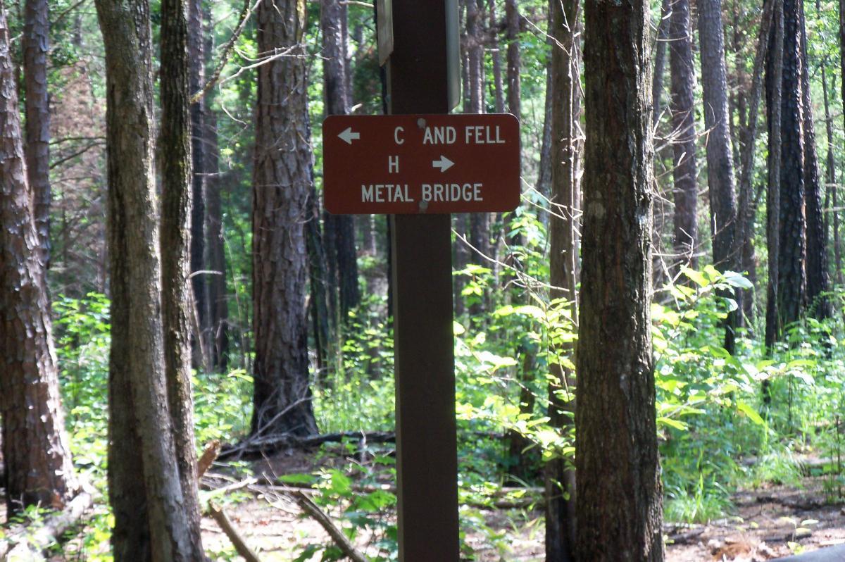 A wooden signpost in a forest, displaying directional arrows pointing left and right. The left arrow points towards "C and Fell," while the right arrow indicates "Metal Bridge." Surrounding the sign are tall trees and lush green foliage, suggesting a natural, wooded environment. Long Cane Horse Trail mountain bike trail.