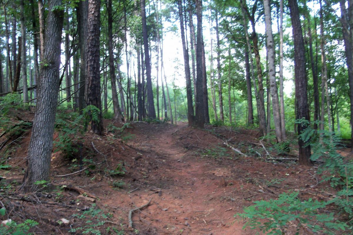 A dirt path winding through a densely wooded area, surrounded by tall trees and lush green foliage. The scene captures a serene and inviting natural landscape, with dappled light filtering through the leaves above. Long Cane Horse Trail mountain bike trail.