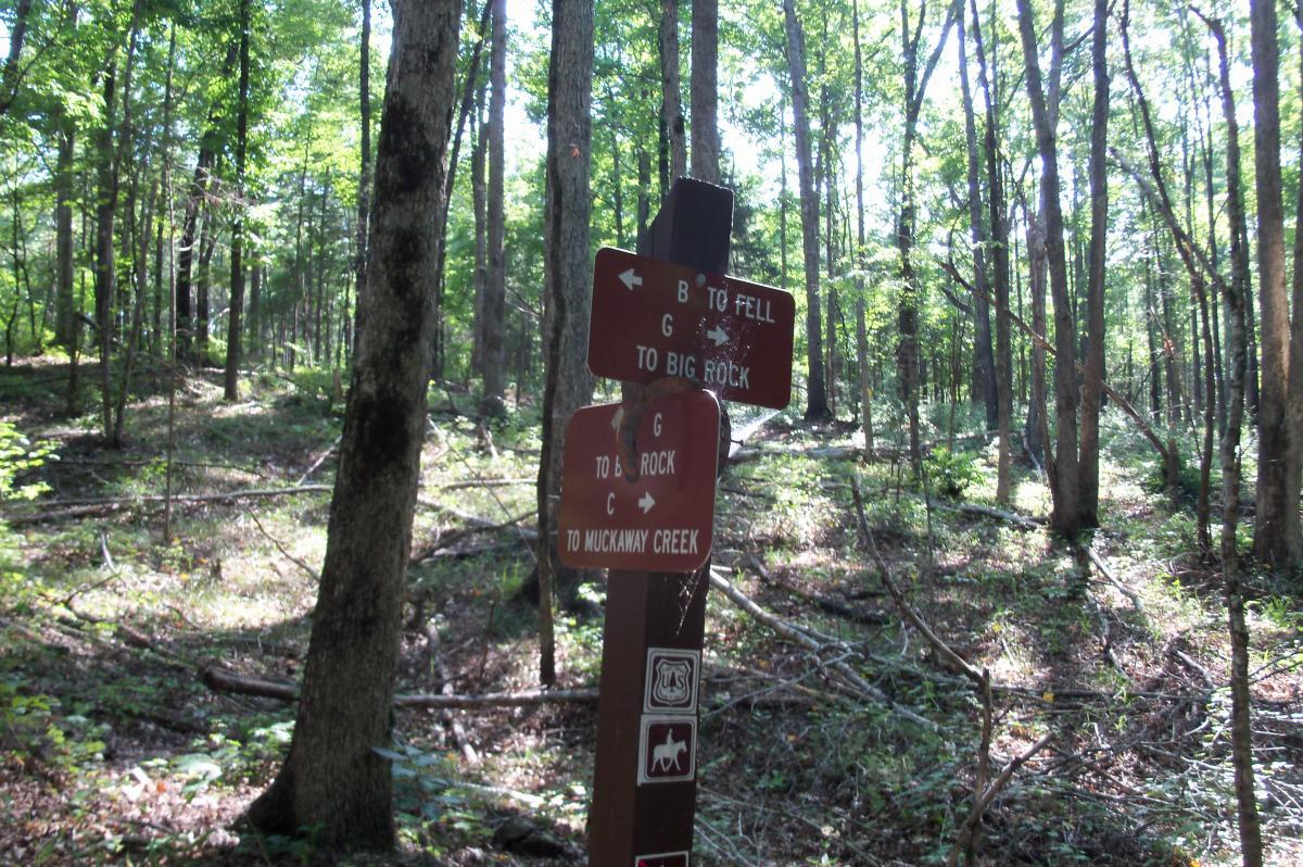 A wooden trail sign in a forest, indicating directions to various locations: "B to Fell," "G to Big Rock," and "C to Muckaway Creek." The background features tall trees and a sun-dappled forest floor with scattered branches and greenery. Long Cane Horse Trail mountain bike trail.