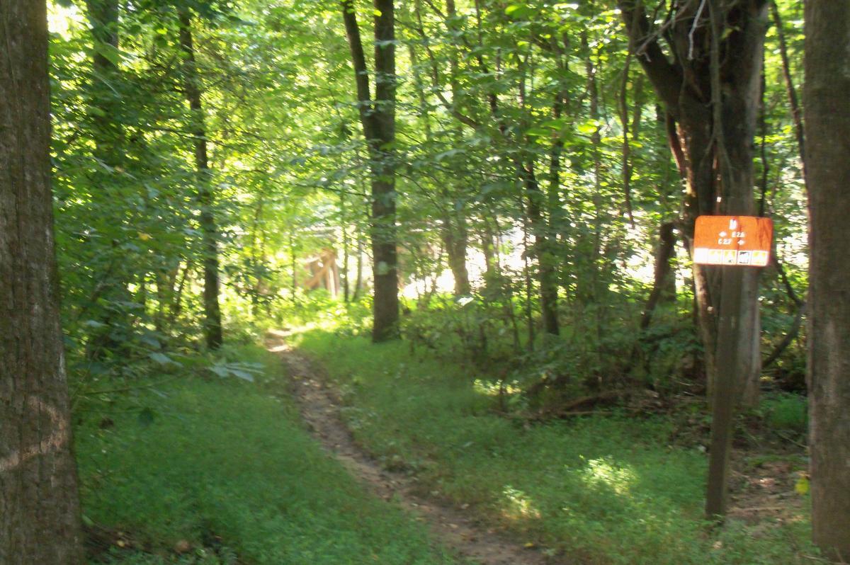 A winding dirt path through a lush green forest, flanked by tall trees and bright foliage. An orange trail marker is visible on the right, providing information about the trail. Dappled sunlight filters through the leaves, creating a serene and inviting atmosphere. Long Cane Horse Trail mountain bike trail.