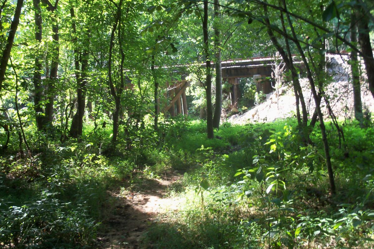 A lush forest scene with dense greenery, showing a narrow path leading through tall grass and bushes. A wooden bridge is visible in the background, partially obscured by trees. The sunlight filters through the leaves, creating a dappled light effect on the ground. Long Cane Horse Trail mountain bike trail.