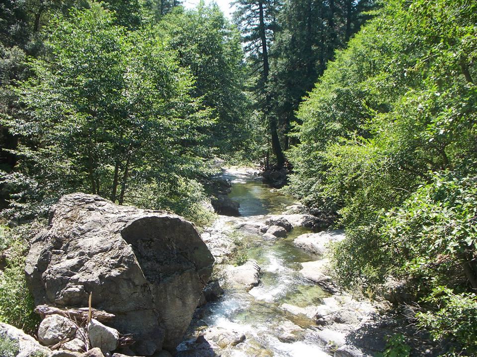 A serene landscape featuring a gently flowing stream surrounded by lush green trees and large rocks, illuminated by sunlight. The scene captures the tranquility of nature in a forested area. Downieville Downhill mountain bike trail.