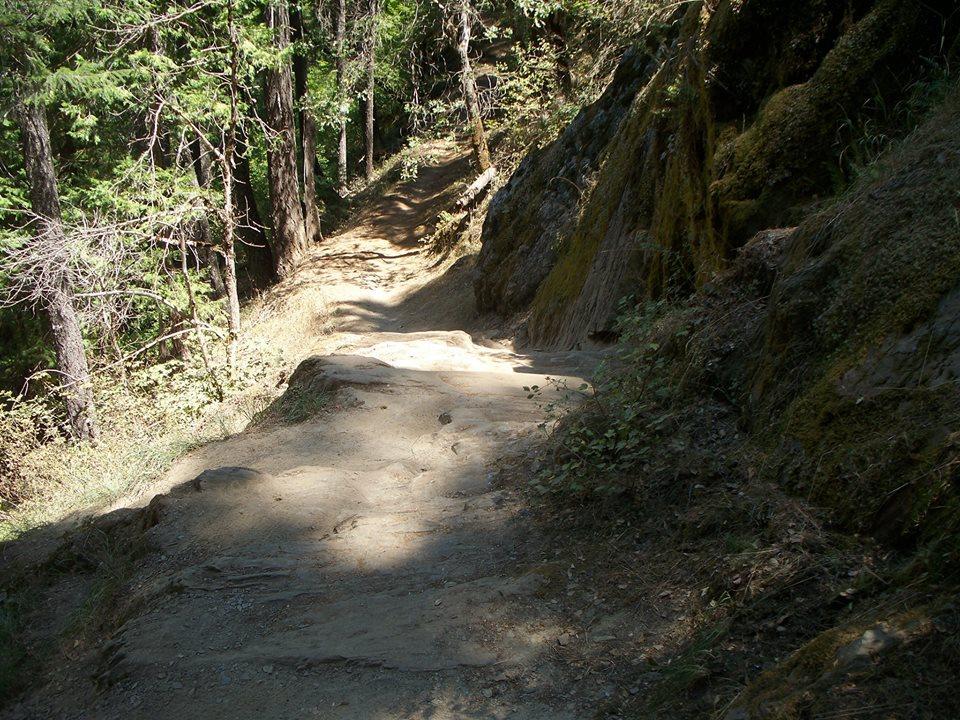 A narrow dirt path winding through a wooded area, flanked by rocky outcroppings and tall trees. The sunlight filters through the foliage, creating a mix of light and shadow on the trail. Downieville Downhill mountain bike trail.