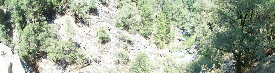 A panoramic view of a lush, green forested landscape with rocky terrain and a flowing stream visible among the trees. Bright sunlight illuminates the scene, creating a vibrant atmosphere. Downieville Downhill mountain bike trail.