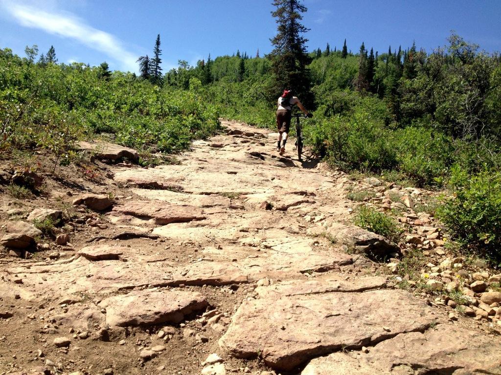 A person walking up a rocky trail surrounded by lush greenery and trees under a blue sky. The trail is uneven, made of large stones, and there are patches of sunlight illuminating the path. Emerald Mountain mountain bike trail.