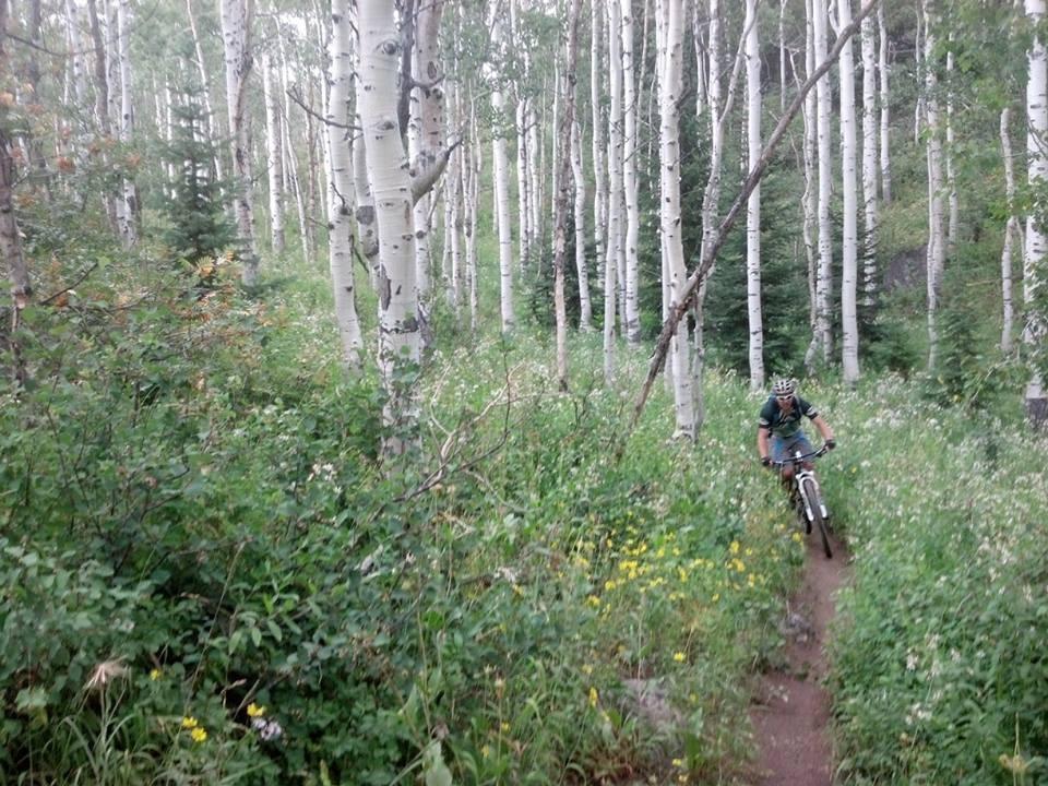 A mountain biker navigating a narrow trail through a lush, green landscape of wildflowers and aspen trees. The scene captures the essence of outdoor adventure in a serene forest setting. Soda Mountain mountain bike trail.