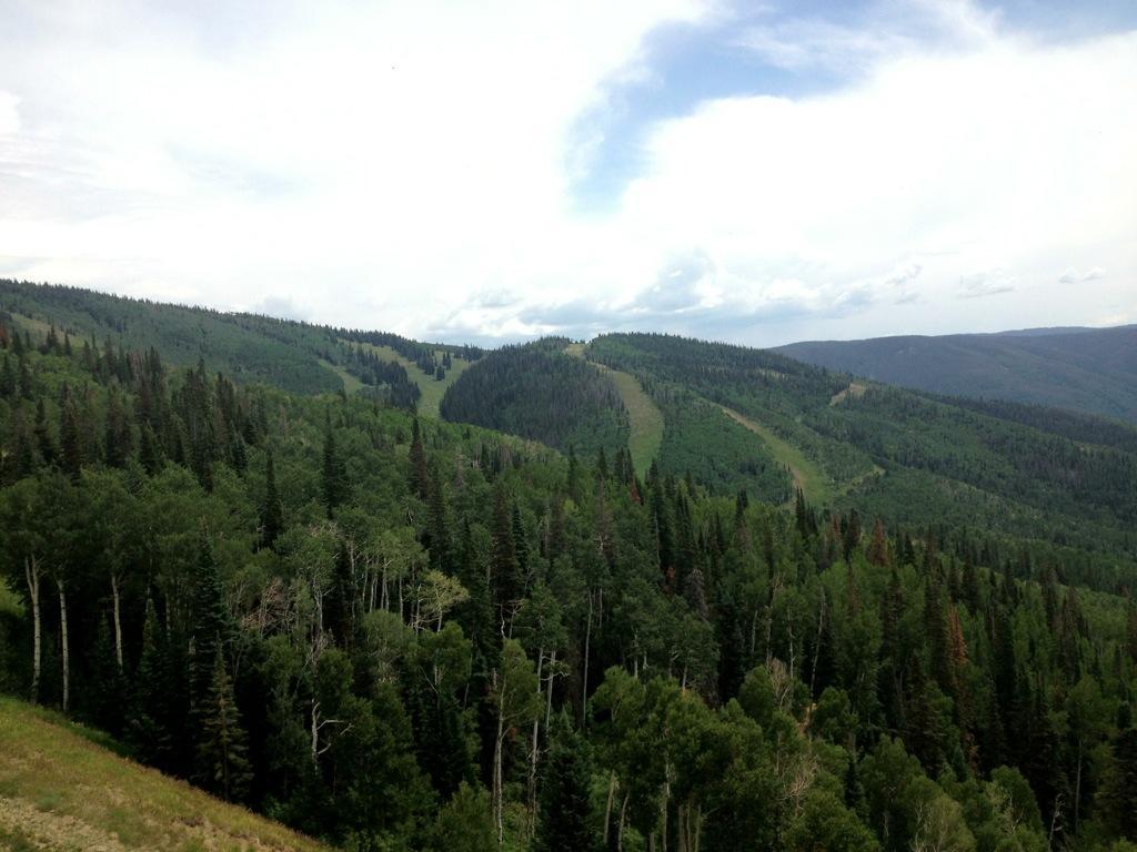A scenic view of rolling green hills covered with dense forest, featuring a winding ski slope in the distance. The sky is partly cloudy, adding a serene atmosphere to the natural landscape. Steamboat Ski Resort mountain bike trail.