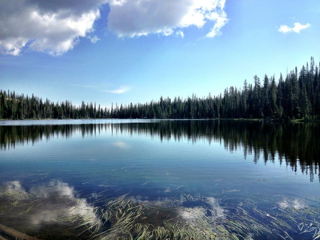 A serene landscape featuring a calm lake reflecting the sky and surrounding evergreen trees, under a partly cloudy blue sky. The surface of the water is smooth, with hints of aquatic vegetation visible near the shore. CDT / Wyoming Trail #1101: Dumont Lake to Buffalo Pass mountain bike trail.
