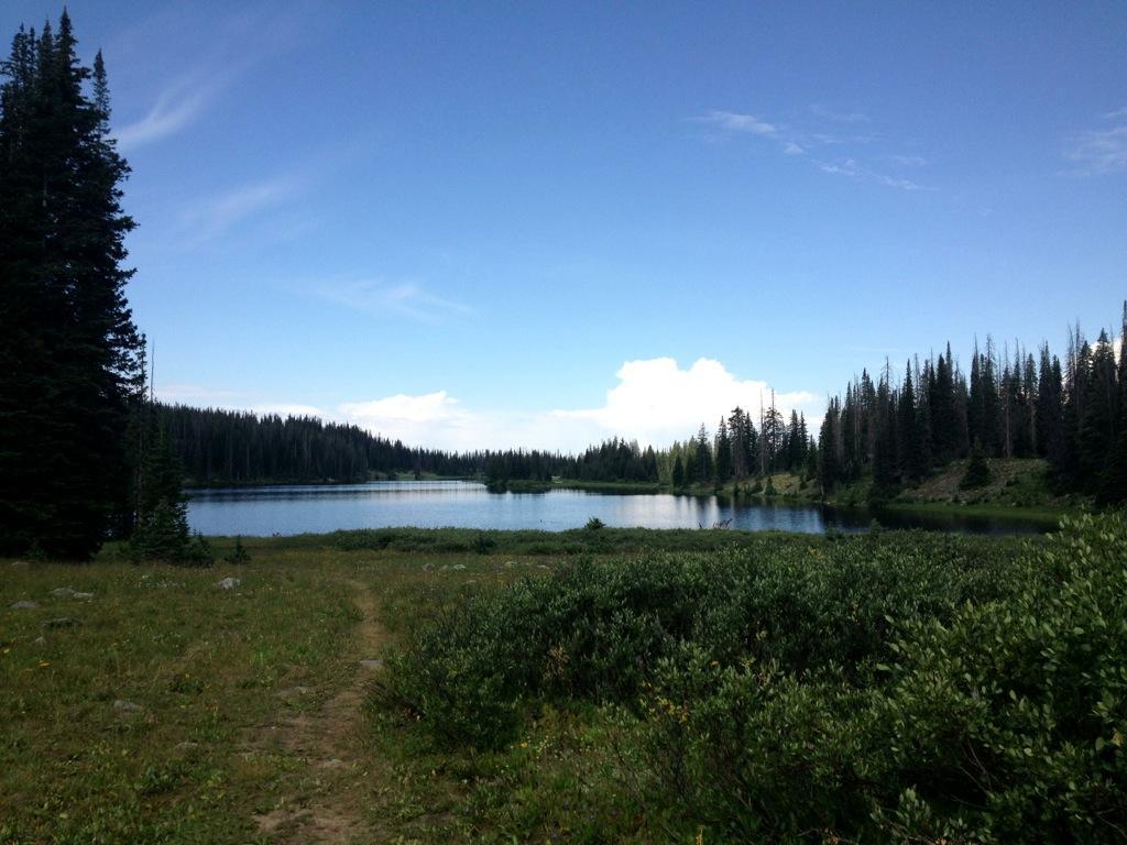 Scenic view of a calm lake surrounded by tall evergreen trees under a clear blue sky, with a grassy path leading towards the water and distant clouds on the horizon. CDT / Wyoming Trail #1101: Dumont Lake to Buffalo Pass mountain bike trail.