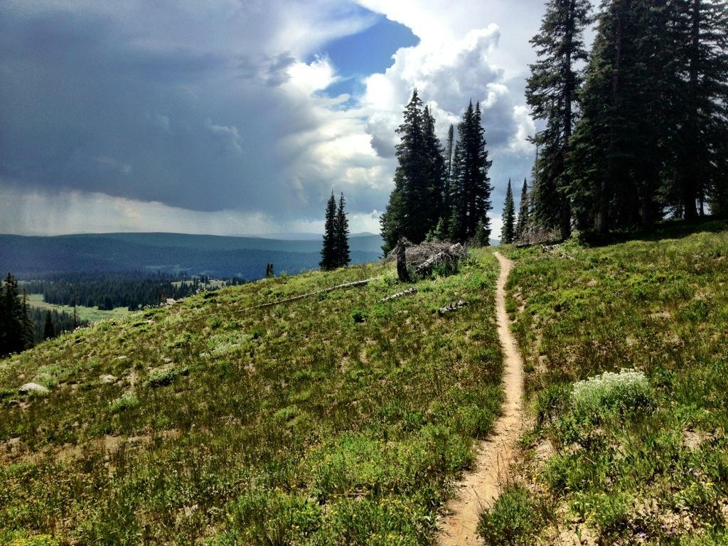 A winding dirt path traverses a grassy hillside bordered by tall evergreen trees, with dark clouds and a bright sky in the background. The landscape is expansive, showing rolling hills and a distant forest under a dramatic sky. Mountain View Trail mountain bike trail.