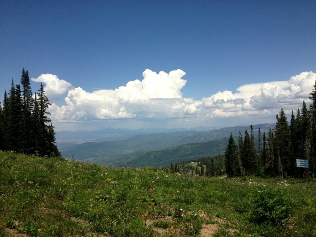 A scenic landscape view featuring rolling green hills and tall evergreen trees under a bright blue sky with fluffy clouds. The background showcases distant mountains and a valley, creating a serene, natural atmosphere. Spur Run mountain bike trail.