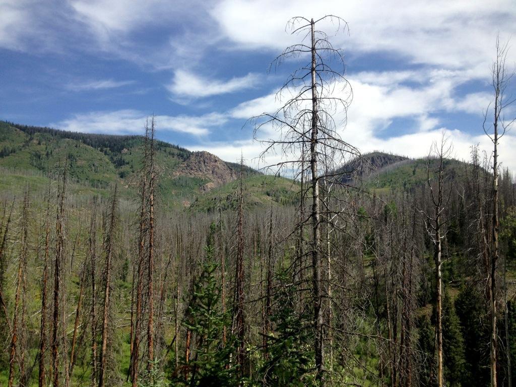 A mountainous landscape featuring a mix of green hills and charred, dead trees in the foreground. The sky is partly cloudy, with patches of blue visible among the clouds. The scene reflects a contrast between the regrowth of nature and the remnants of past fire damage. Scotts Run / Hinman Creek mountain bike trail.