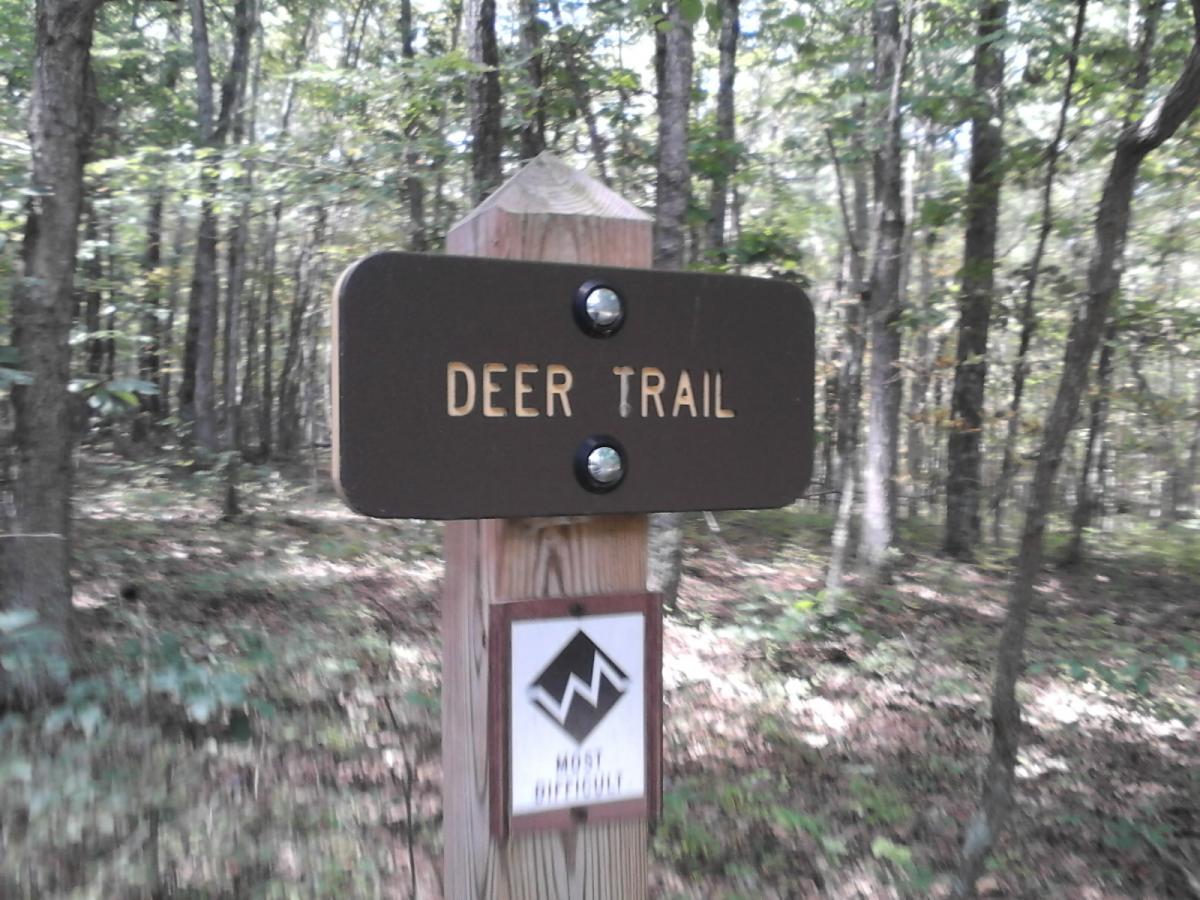 A wooden trail sign that reads "DEER TRAIL" in gold letters, mounted on a post in a wooded area with trees and green foliage in the background. A smaller sign underneath indicates the trail difficulty level as "MOST DIFFICULT." Dragon's Back mountain bike trail.