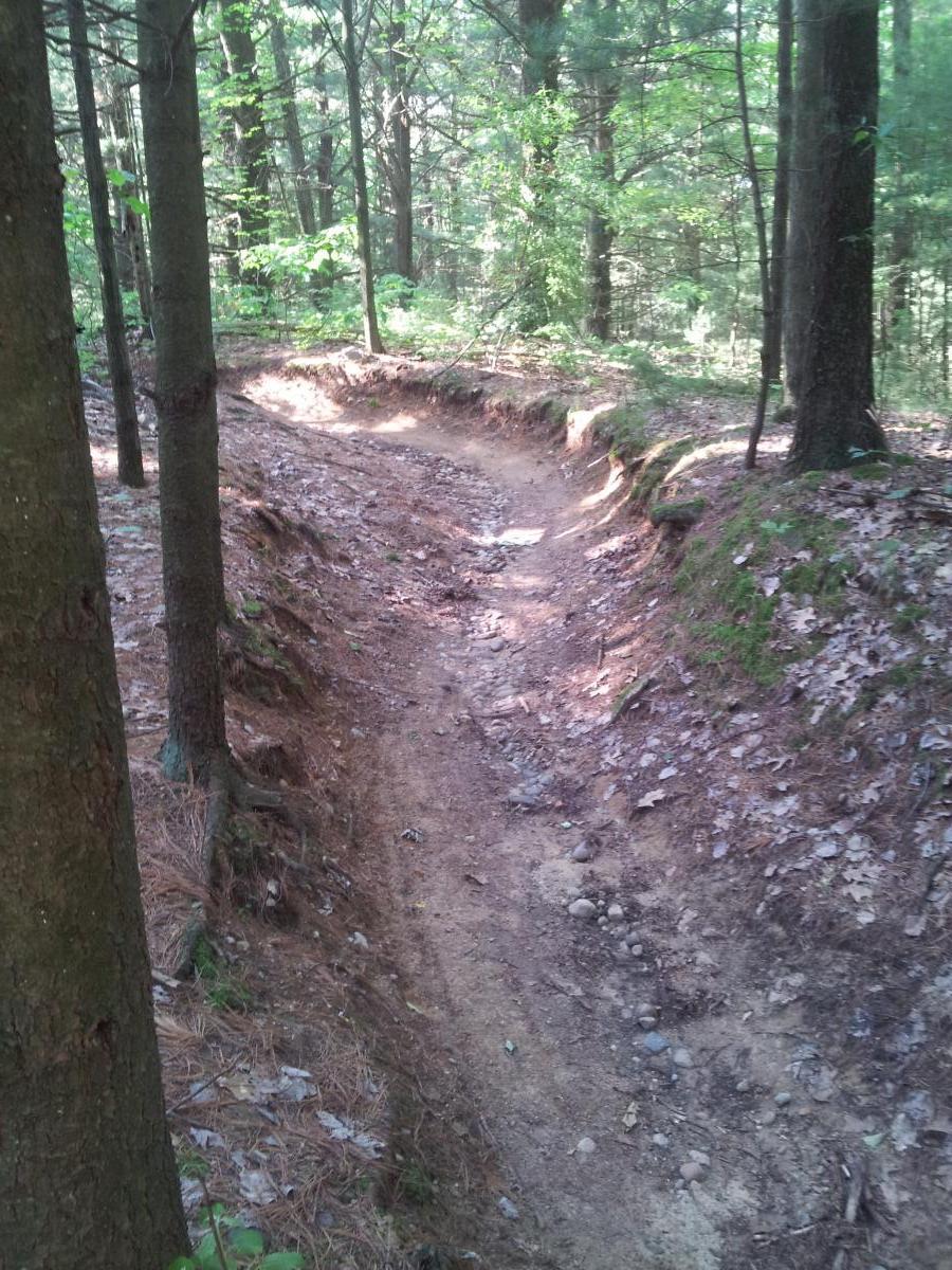 A narrow, winding dirt trail surrounded by trees in a forested area, with visible pine needles and rocks along the path. The sunlight filters through the leaves, creating a dappled light effect on the ground. Yankee Springs mountain bike trail.