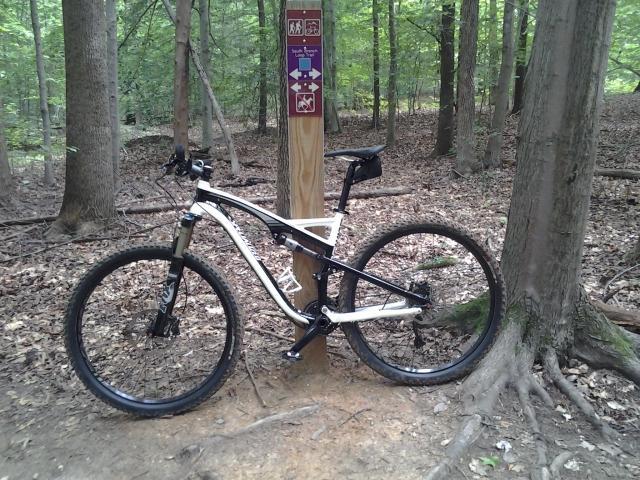 Specialized Camber: A mountain bike leaning against a tree near a trail sign in a lush forest. The trail sign indicates different types of routes, and the ground is covered with leaves and dirt. Sunlight filters through the trees, creating a serene outdoor atmosphere.