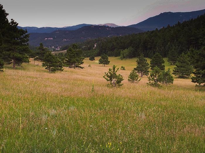 A serene landscape featuring a grassy meadow with scattered pine trees, framed by distant mountains under a clear sky. The scene captures the tranquility of nature with rolling hills and a diverse array of green hues. Bergen Peak mountain bike trail.