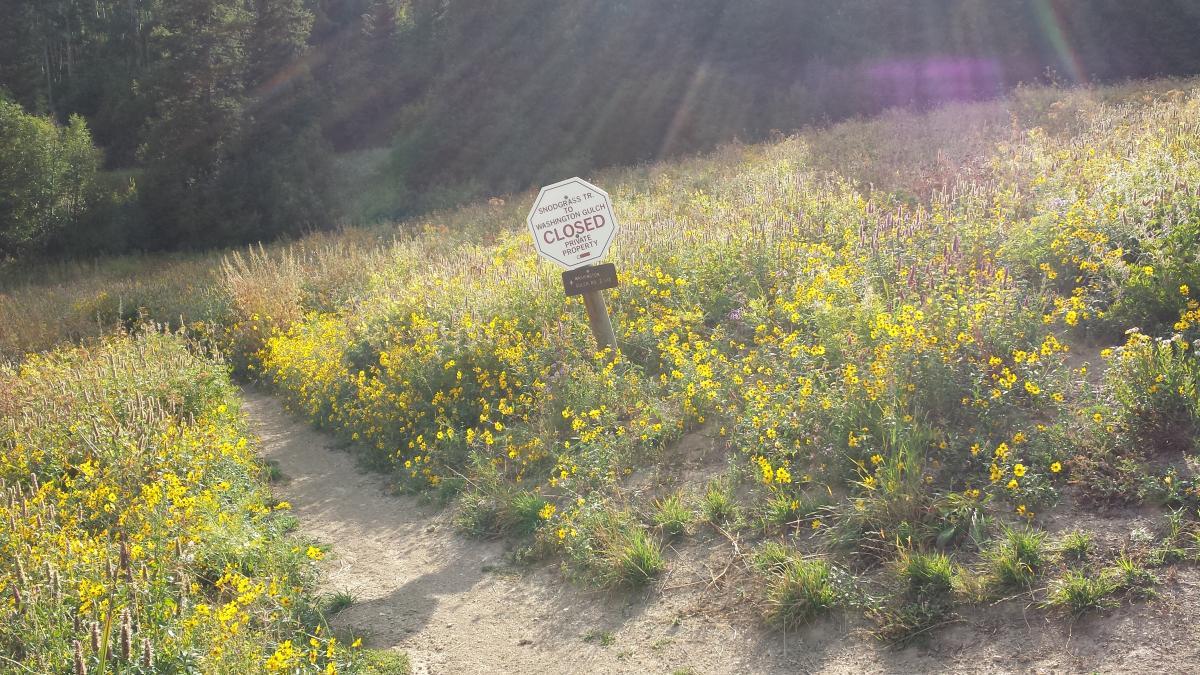 A dirt path bordered by vibrant yellow wildflowers leads to a sign that reads "CLOSED - Private Property." The sign is prominently displayed amidst lush greenery and flowers under a softly lit, sunny sky. Snodgrass mountain bike trail.