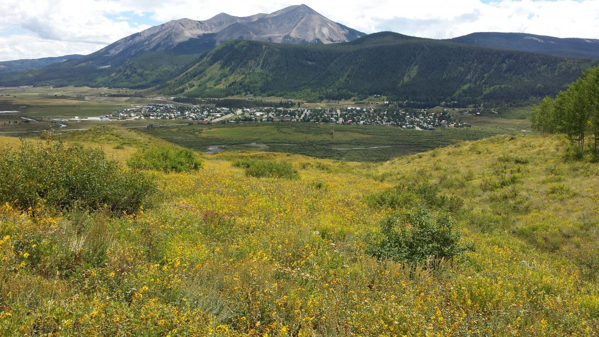 A scenic view of a valley covered in wildflowers, with a small town nestled in the landscape. In the background, majestic mountains rise against a partly cloudy sky. The foreground features vibrant yellow and green foliage, leading the eye toward the town and the rolling hills beyond. Lupine Trail mountain bike trail.