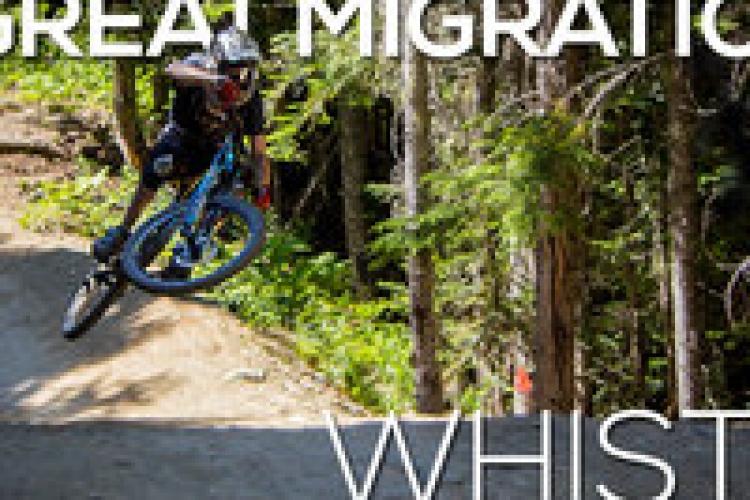 Watch Freeride VS Downhill Which Is Best? Singletracks Mountain Bike News