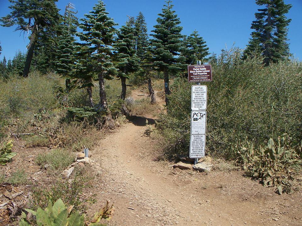 A trail leading through a forested area with tall evergreen trees, accompanied by signs that provide information about the Packer Saddle and Sierra Buttes Lookout trail properties. The path is rocky and surrounded by shrubs and plants under a clear blue sky. Downieville Downhill mountain bike trail.